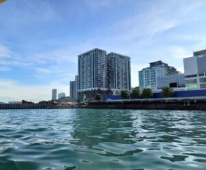 survey_photo_01